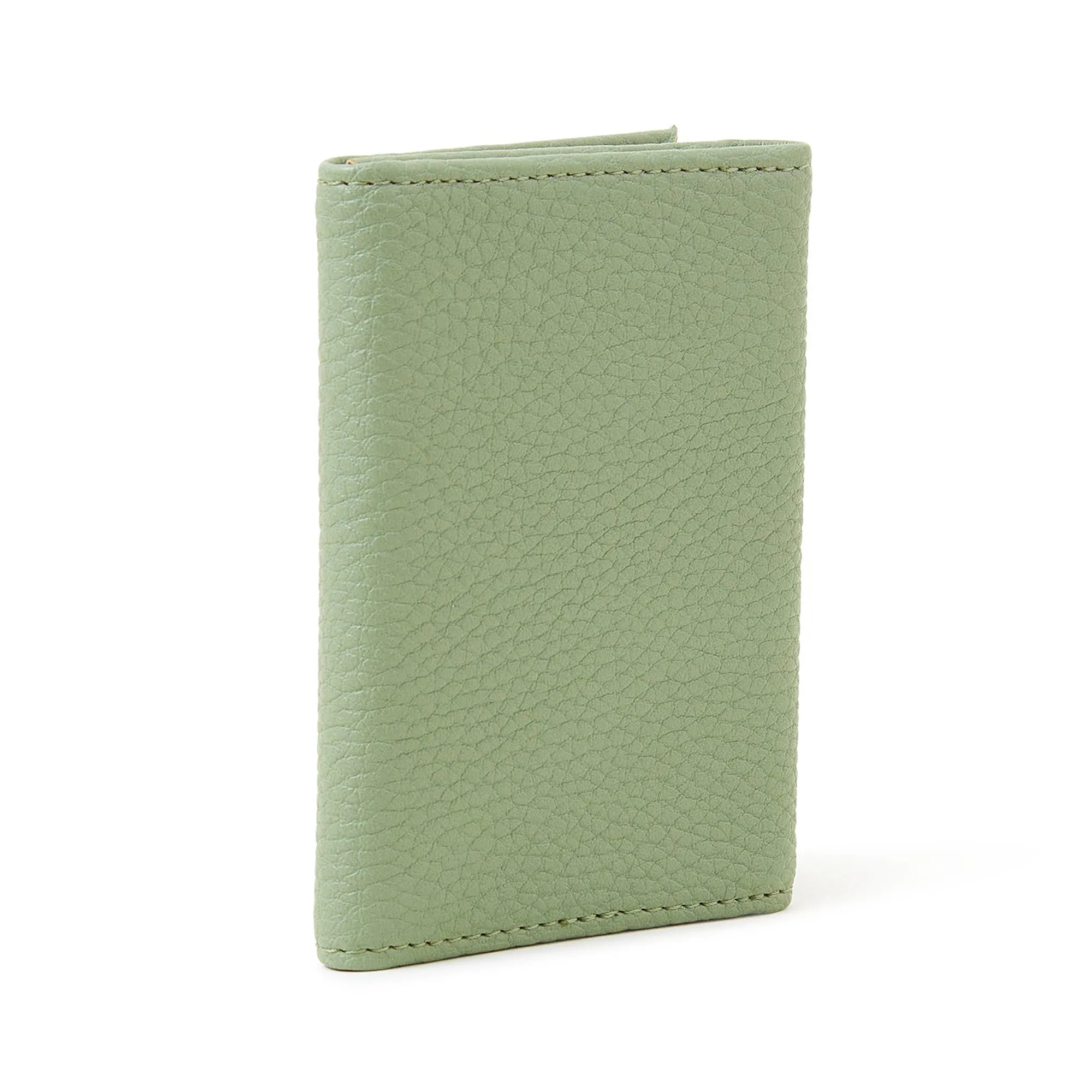 Accessorize London Green Travel Cardholder