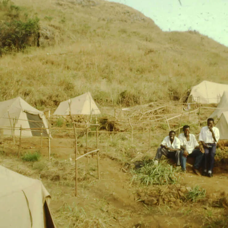 Alpino Kangourou