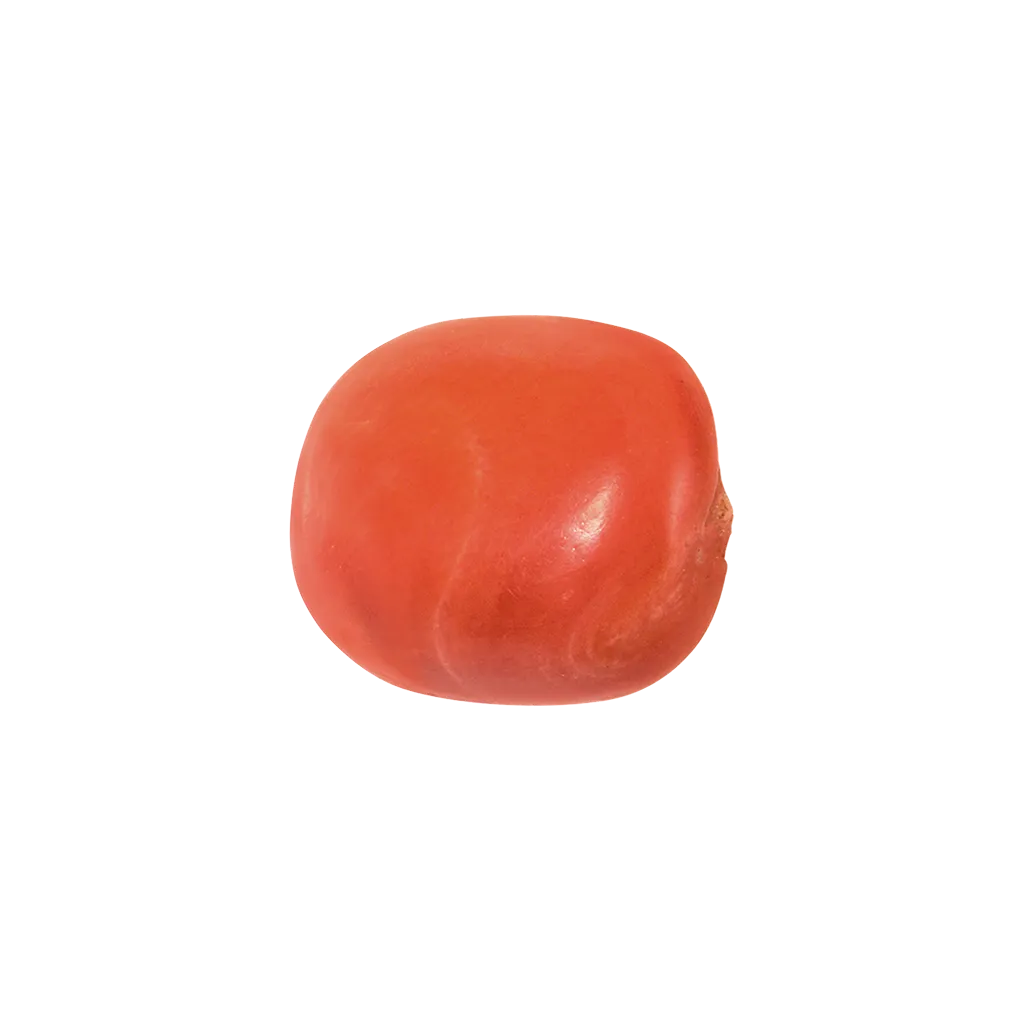 Antique Coral Oval