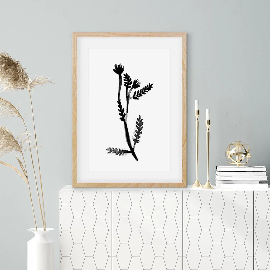 Black & White Botanical Watercolour Framed Art