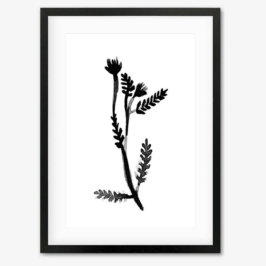 Black & White Botanical Watercolour Framed Art