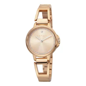 Esprit Stainless Steel Analog Women's Watch ES1L146M0075