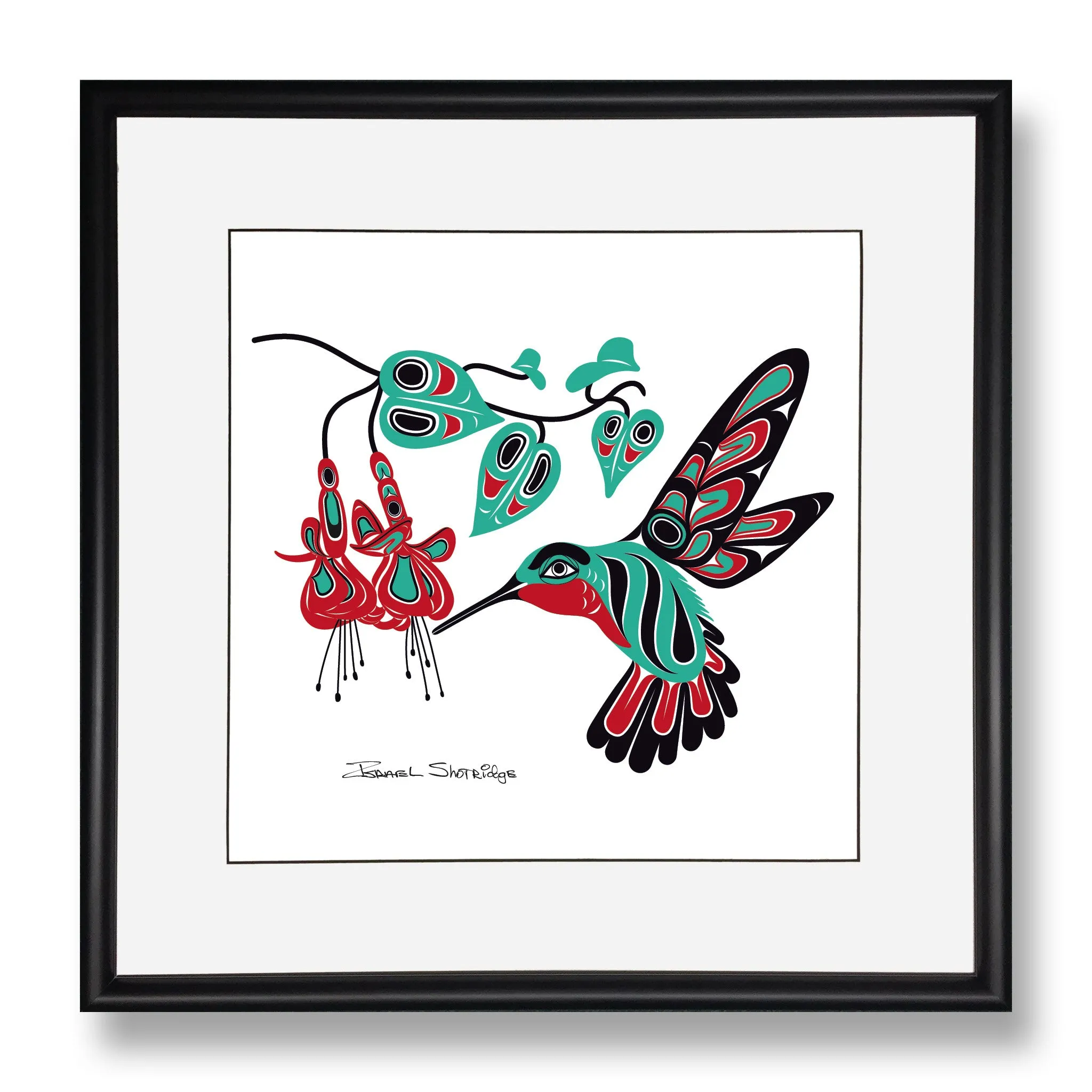 Hummingbird & Fuchsia - Limited Edition Formline Art Print