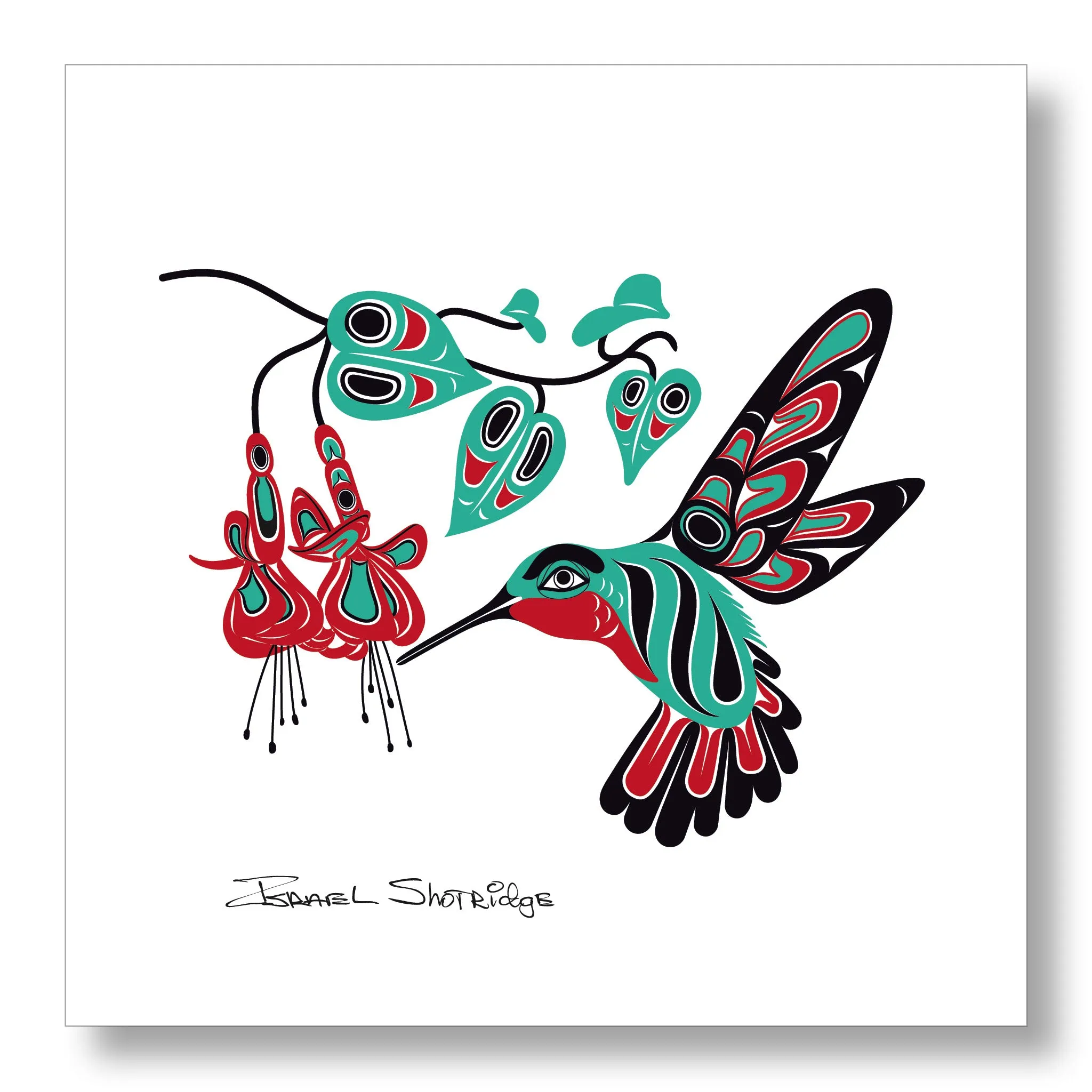 Hummingbird & Fuchsia - Limited Edition Formline Art Print