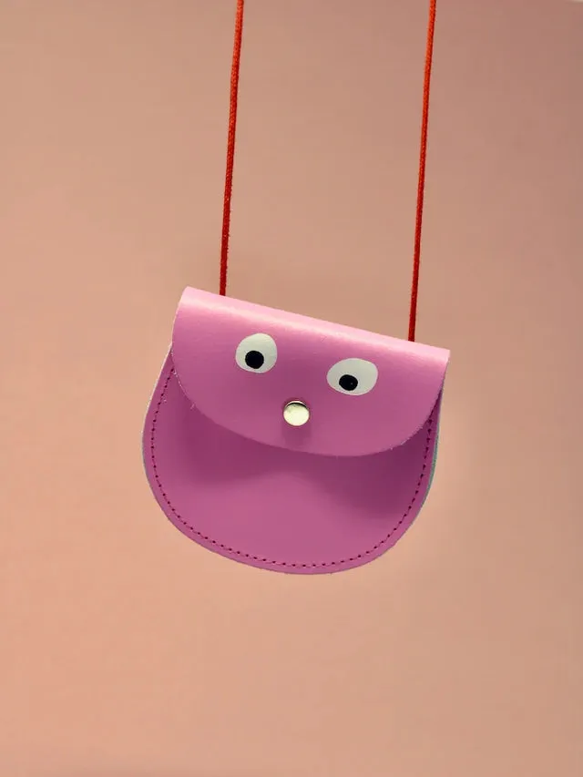 Pink Googly Eye Pocket Money Purse