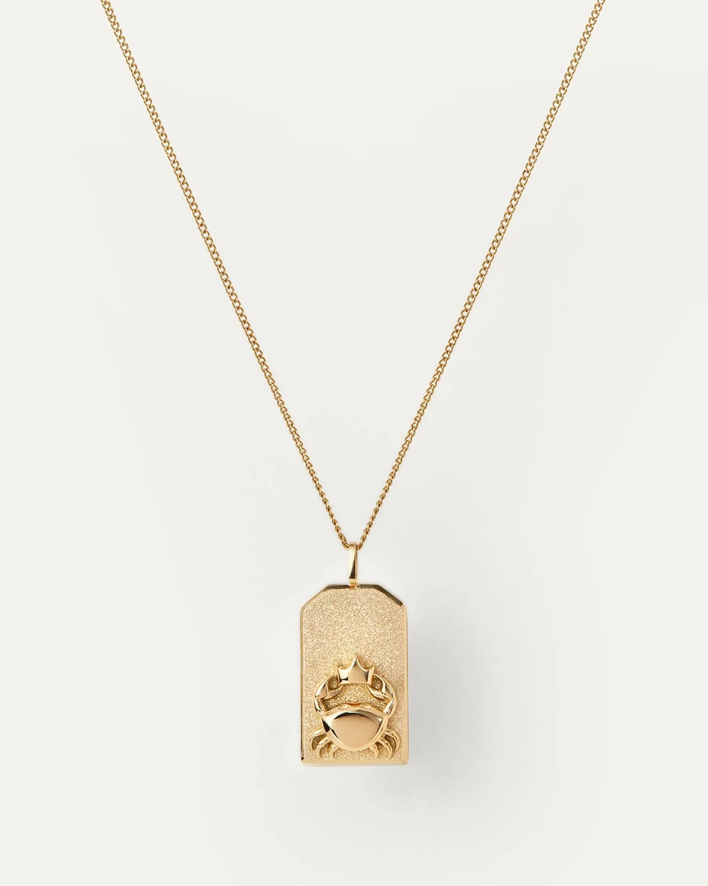 ZODIAC PENDANT NECKLACE - JENNY BIRD